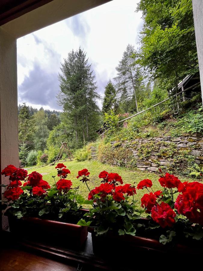 Siedlisko U Jana Homestay Korbielow